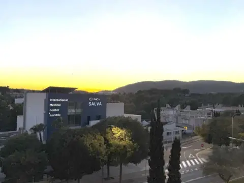 Piso en Camí de Son Rapinya