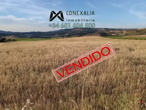 Finca rústica en Setenil