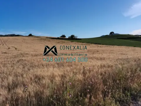 Finca rústica en Setenil