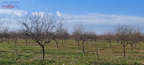 Finca rústica en Ciudad Real