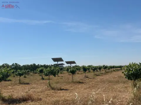 Finca rústica en Ciudad Real
