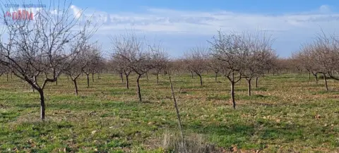 Finca rústica en Ciudad Real
