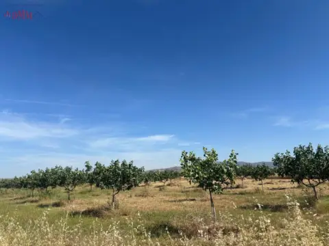 Finca rústica en Ciudad Real