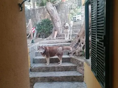 Chalet en calle Serviola