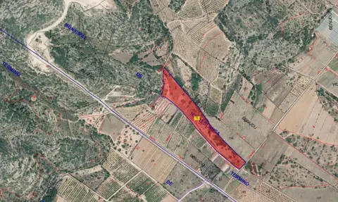 Finca rústica en calle Benijou -Pol.9
