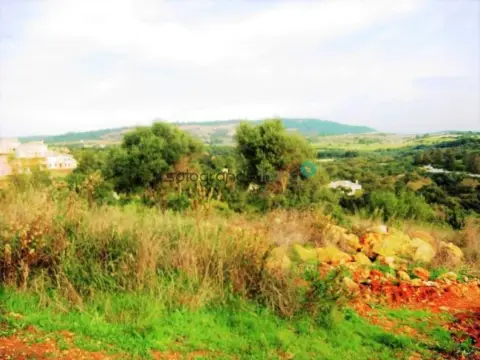 Terreno en Sotogrande Alto
