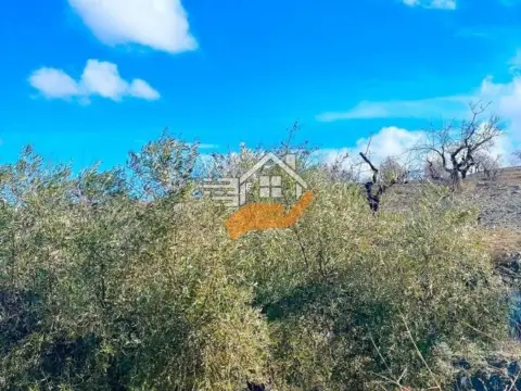 Finca rústica en Vélez-Rubio