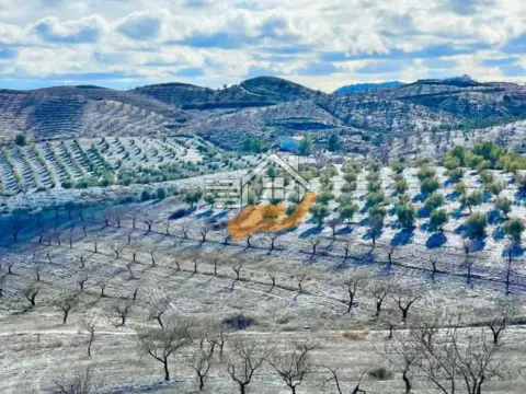 Finca rústica en Vélez-Rubio