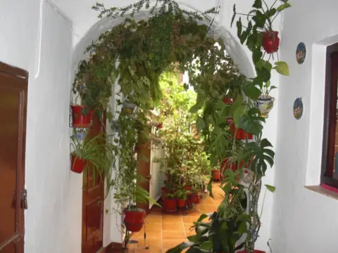 Apartamento en Casco Antiguo