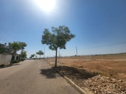 Terreno en Sisante