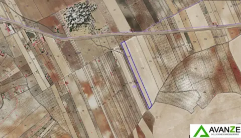 Finca rústica en Barriadas - San Andrés - Cantaranas