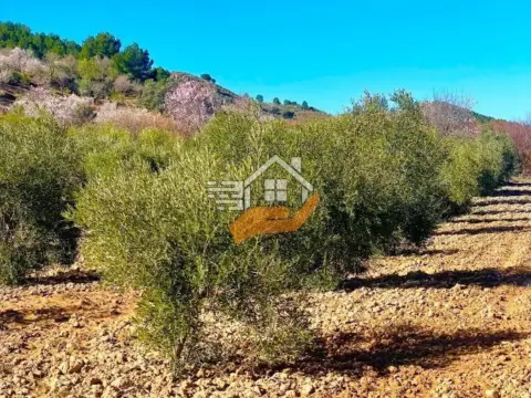 Finca rústica en Vélez-Rubio