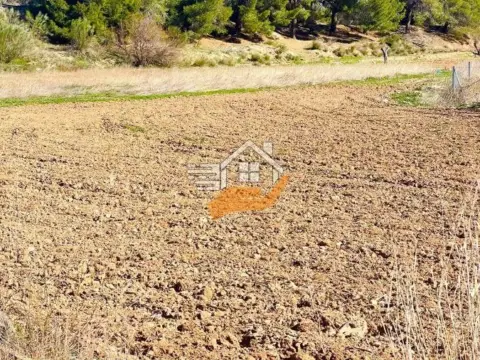 Finca rústica en Vélez-Rubio