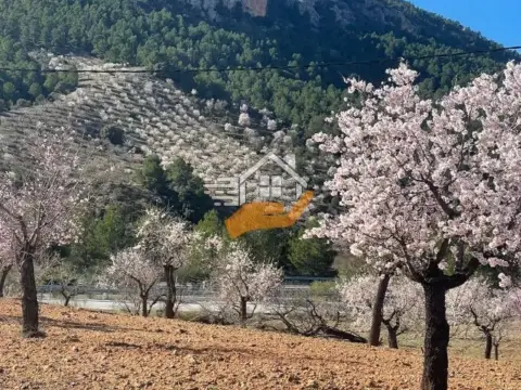 Finca rústica en Vélez-Rubio