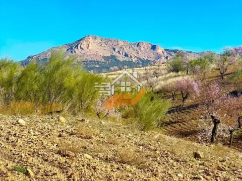 Finca rústica en Vélez-Rubio