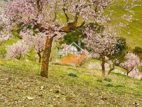 Finca rústica en Vélez-Rubio