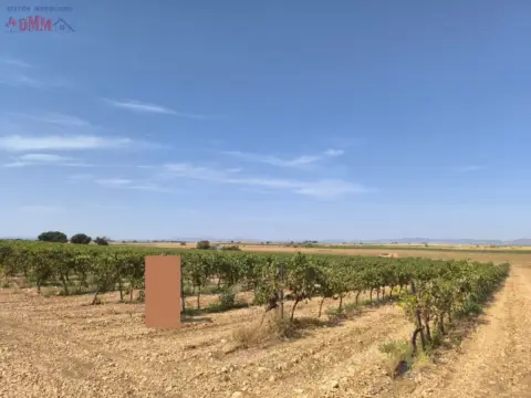 Finca rústica en Torralba de Calatrava