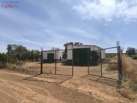 Finca rústica en Torralba de Calatrava