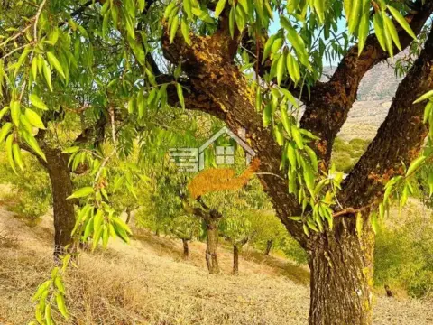 Finca rústica en Vélez-Rubio