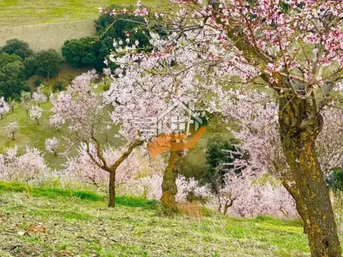 Finca rústica en Vélez-Rubio