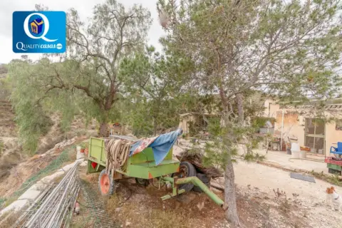 Chalet en calle Partida Feliu