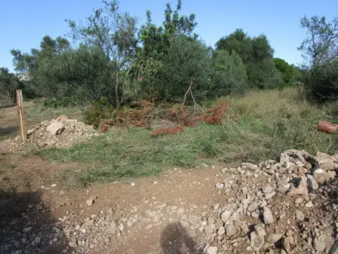 Finca rústica en calle Barberana