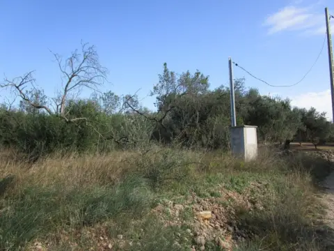 Finca rústica en calle Barberana