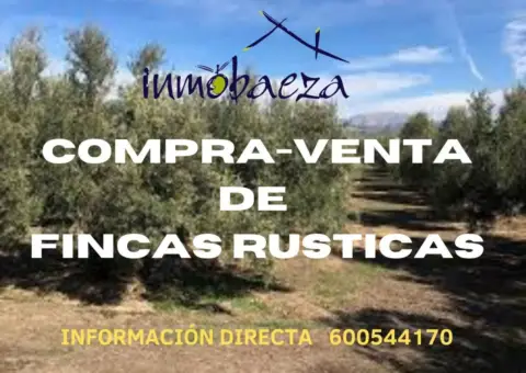 Rural Property in Villacarrillo
