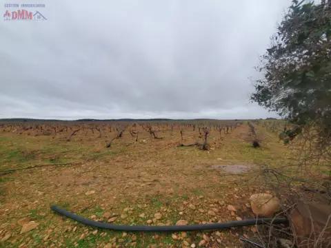 Finca rústica en Torralba de Calatrava