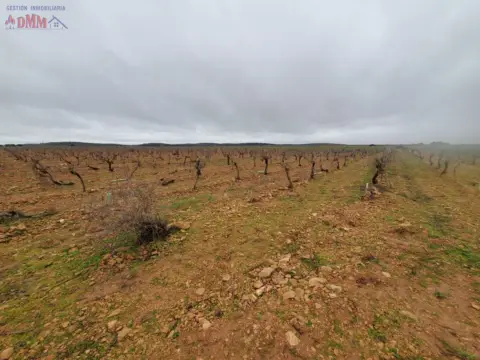 Finca rústica en Torralba de Calatrava