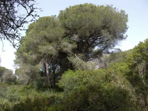 Finca rústica en La Muela