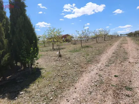 Finca rústica en Ciudad Real