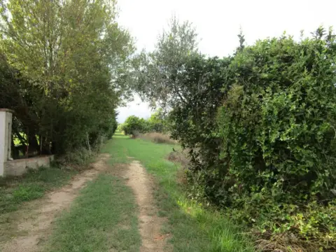 Finca rústica en Raval de Crist