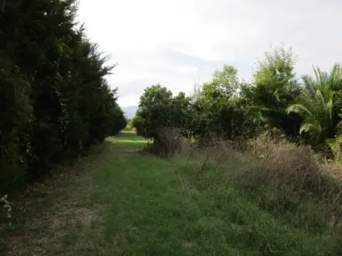 Finca rústica en Raval de Crist