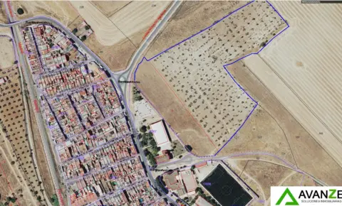 Finca rústica en Barriadas - San Andrés - Cantaranas