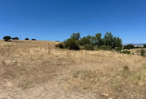 Finca rústica en calle del Olivo