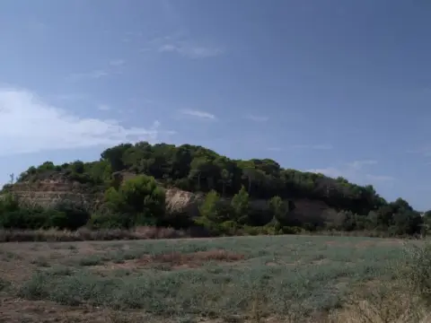 Finca rústica en Carrer de Vinallop