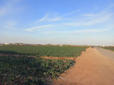 Finca rústica en calle Llano de los Cegarra