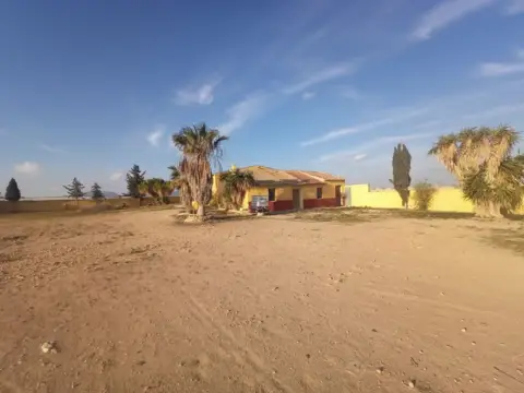 Finca rústica en calle Ds Alonsos - los Tomases