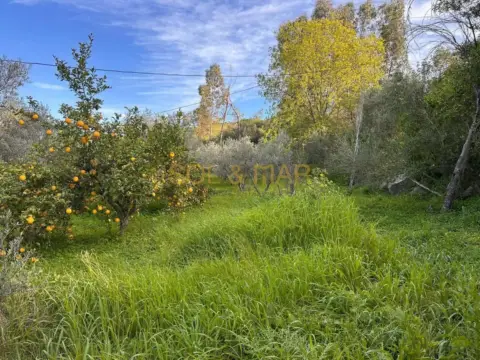 Finca rústica en Estación