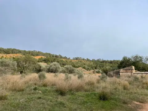 Finca rústica en calle Fangar
