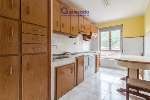 Piso en Pola de Lena
