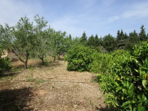 Finca rústica en calle Barberana