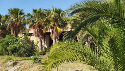 Finca rústica en El Cortijo Grande