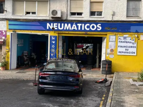 Local comercial en calle Eucalipto