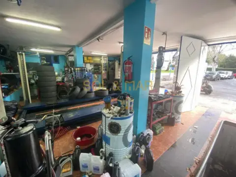 Local comercial en calle Eucalipto