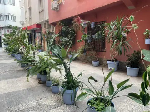 Estudio en Centro