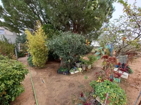 Finca rústica en San Isidro