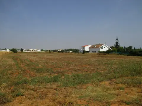 Finca rústica en Roche Viejo