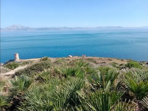 Finca rústica en Tarifa